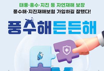 보도사진