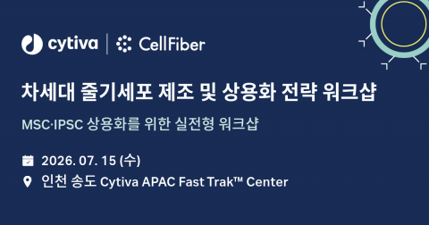 보도사진