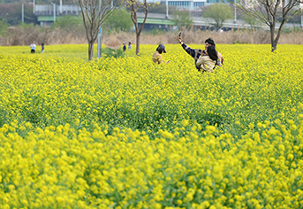 보도사진