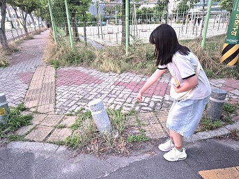 보도사진