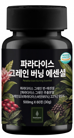 보도사진